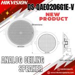 DS-QAE0206G1E-V Analog Ceiling Speaker